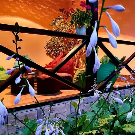 Guest house Zenko Bryukhovychi