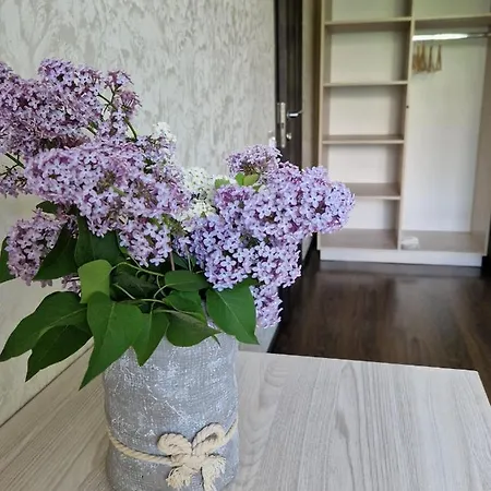 Guest house Zenko
