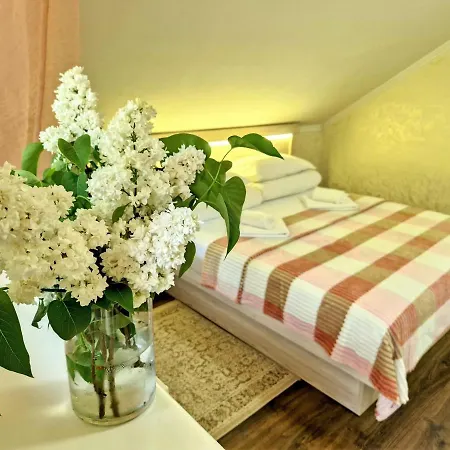 Zenko Guest house *